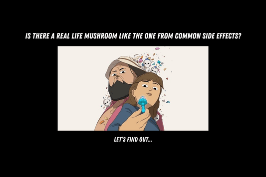 Uncovering the Real-Life Mushroom Counterpart to the Animated "Common Side Effects" - Gnosis Labz