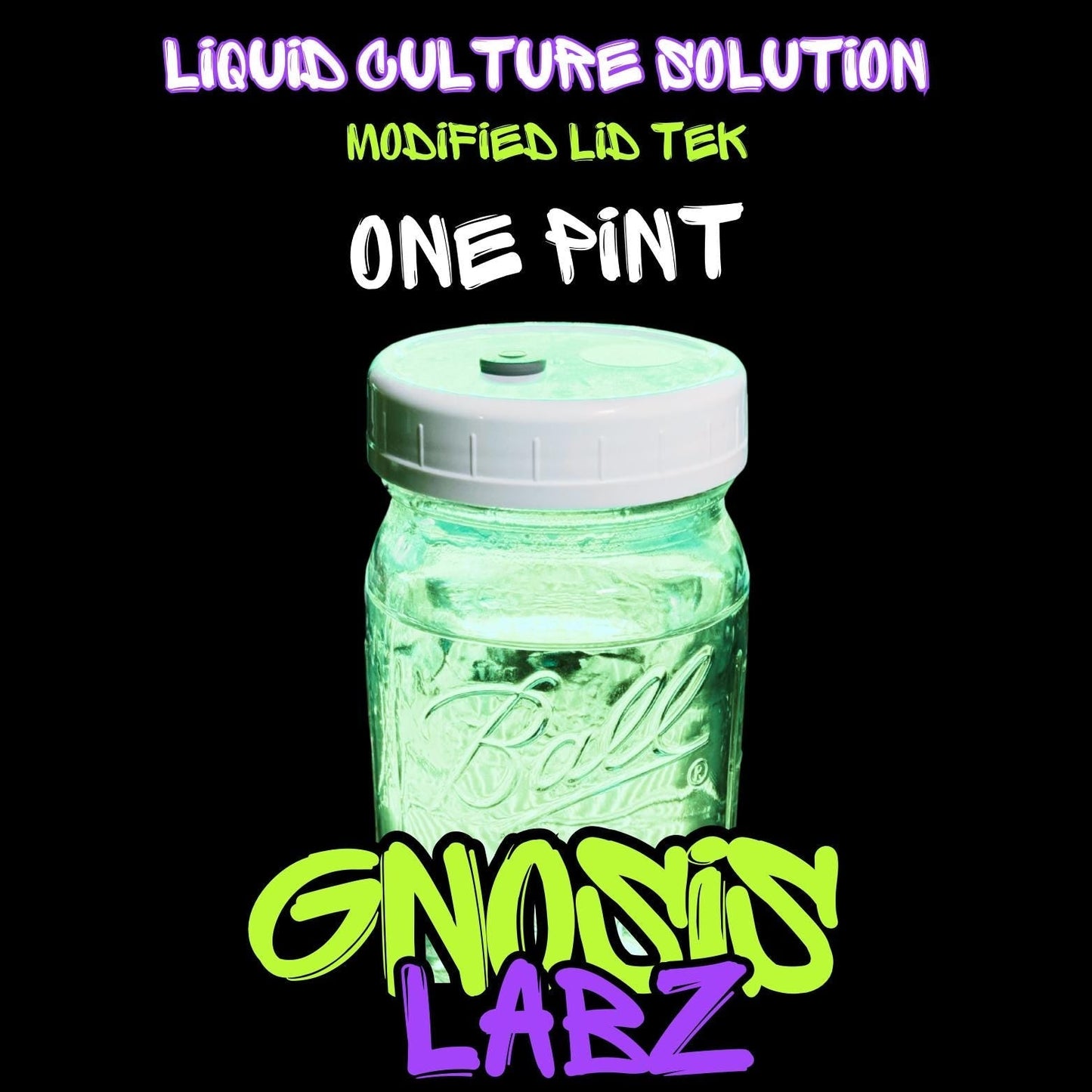 1 Pint Sterile Liquid Culture Solution Jar | Injection Port + Filter Patch - Gnosis Labz