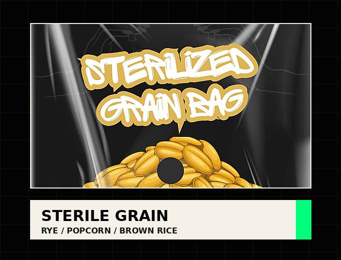 3 lb Sterilized Rye Berries Grain Bag | Injection Port + Filter Patch - Gnosis Labz