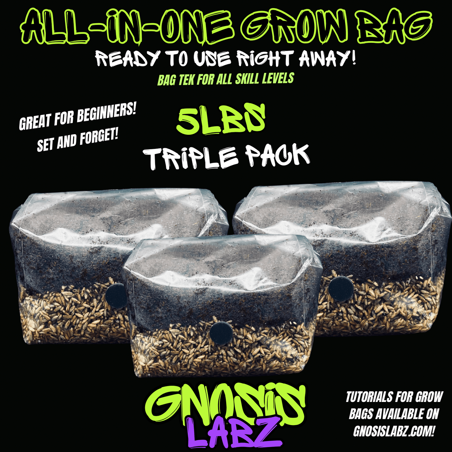 3 Pack of 5lb Sterilized Grow Kit Bag for Mycology and Mushroom Cultivation! Choose Your Grain! Includes Injection Port 0.2 micron Filter Patch! - Gnosis Labz Gnosis Labz Grow Kits Rye Berries