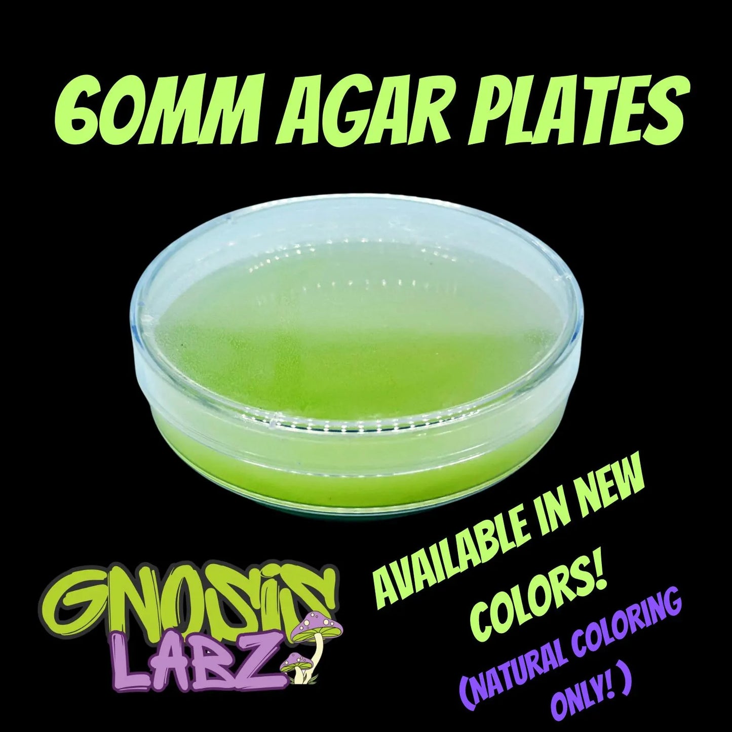 60mm Agar Plates - Sterilized Agar Media Petri Dishes - Great for Small Cultures (Different Colors Available) 6 Plate Purchase Minimum! - Gnosis Labz Gnosis Labz Agar Green
