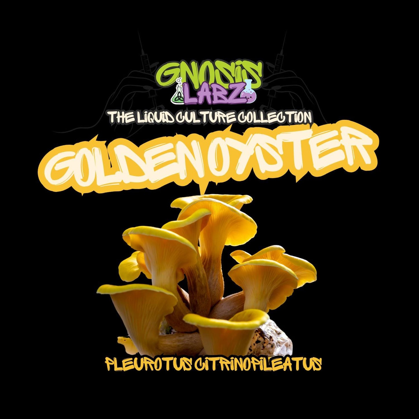 Golden Oyster (Pleurotus Citrinopileatus) Liquid Culture Syringe 10ml with 18g Sterile Needle - Gnosis Labz Gnosis Labz