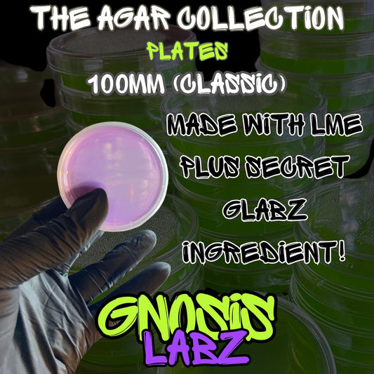6 Pack of 100mm Agar Plates - Sterilized Agar Media Petri Dishes - Great for Larger Cultures (Different Colors Available) - Gnosis Labz Gnosis Labz Green