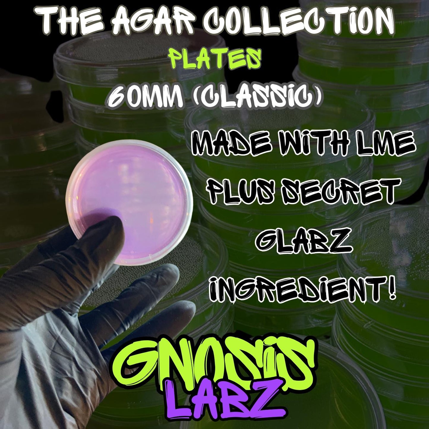 6 Pack of 60mm Agar Plates - Sterilized Agar Media Petri Dishes - Great for Small Cultures (Different Colors Available) - Gnosis Labz Gnosis Labz Green