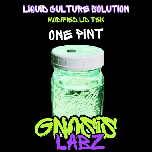 1 Pint Sterile Liquid Culture Solution Jar | Injection Port + Filter Patch - Gnosis Labz