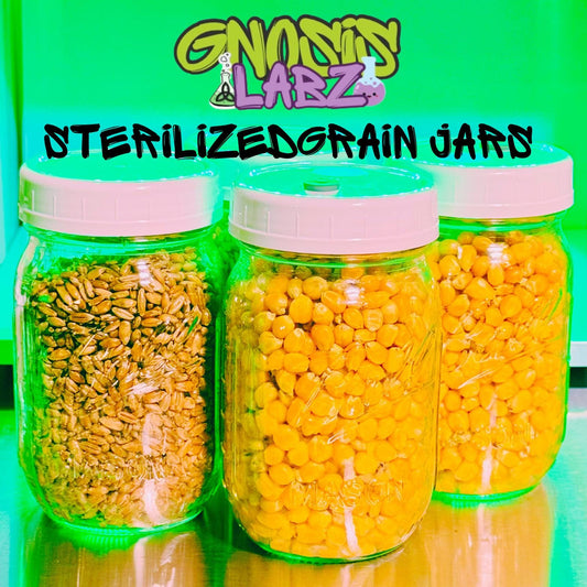 1 Quart Drippy Corn Sterilized Grain Jar | Injection Port + Filter Patch - Gnosis Labz