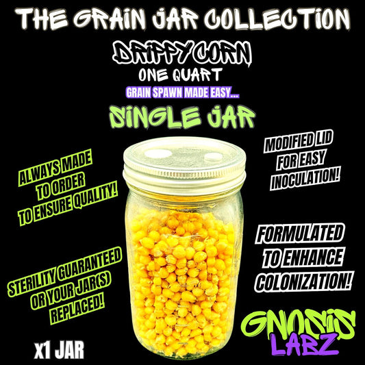 1 Quart Drippy Corn Sterilized Grain Jar | Injection Port + Filter Patch - Gnosis Labz