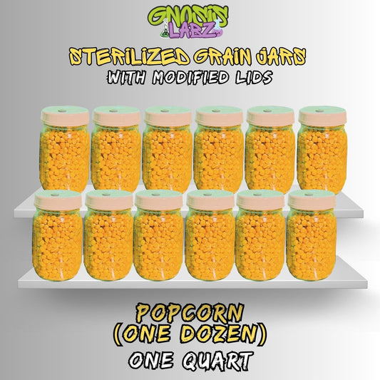 12-Pack Popcorn Quart Jars | Sterilized Grain Spawn - Gnosis Labz