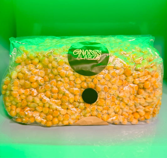 5 lb Sterilized Rye Berries Grain Bag | Injection Port + Filter Patch - Gnosis Labz