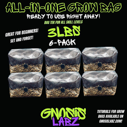 6-Pack 3 lb All-in-One Mushroom Grow Bags | Injection Port + Filter Patch - Gnosis Labz