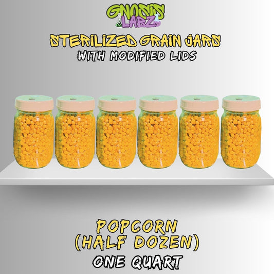 6-Pack Popcorn Quart Jars | Sterilized Grain Spawn - Gnosis Labz