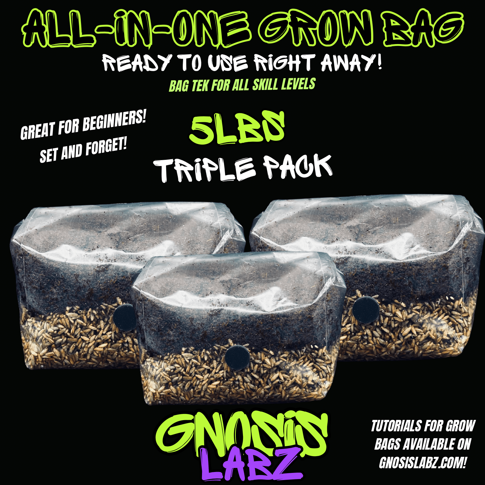 3 Pack of 5lb Sterilized Grow Kit Bag for Mycology and Mushroom Cultivation! Choose Your Grain! Includes Injection Port 0.2 micron Filter Patch! - Gnosis Labz Gnosis Labz Grow Kits Rye Berries