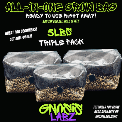 3 Pack of 5lb Sterilized Grow Kit Bag for Mycology and Mushroom Cultivation! Choose Your Grain! Includes Injection Port 0.2 micron Filter Patch! - Gnosis Labz Gnosis Labz Grow Kits Rye Berries