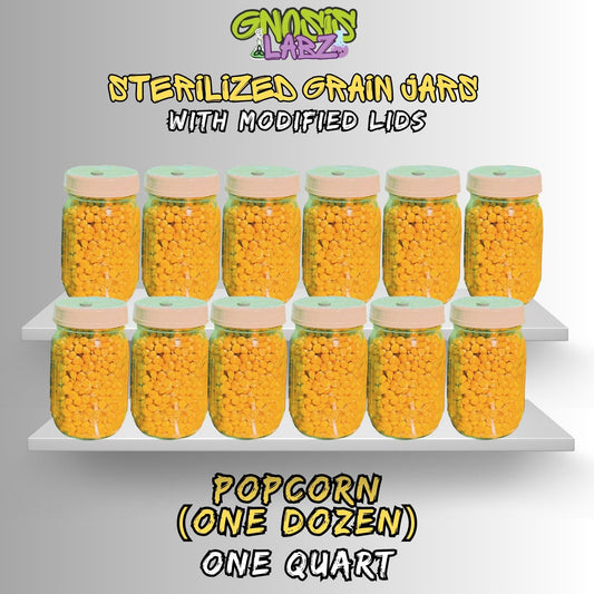 Sterilized Popcorn Quart Jars (One Dozen) Includes Modified Lid with Injection Port and Filter Patch! - Gnosis Labz Gnosis Labz
