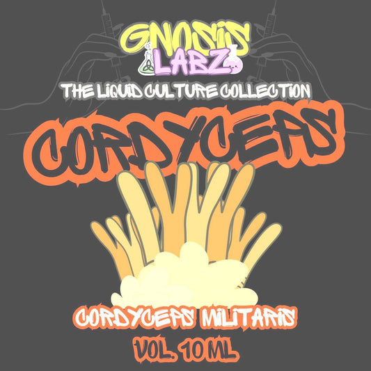 Cordyceps (Cordyceps Militaris) Liquid Culture Syringe 10ml Includes 18g Sterile Needle! - Gnosis Labz Gnosis Labz