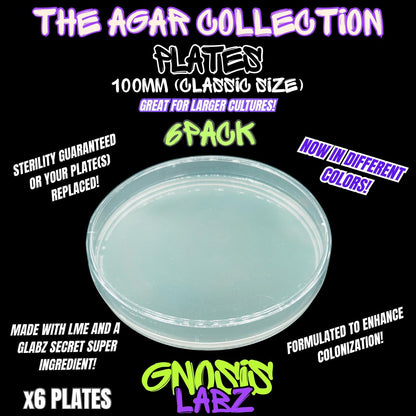 6 Pack of 100mm Agar Plates - Sterilized Agar Media Petri Dishes - Great for Larger Cultures (Different Colors Available) - Gnosis Labz Gnosis Labz Green