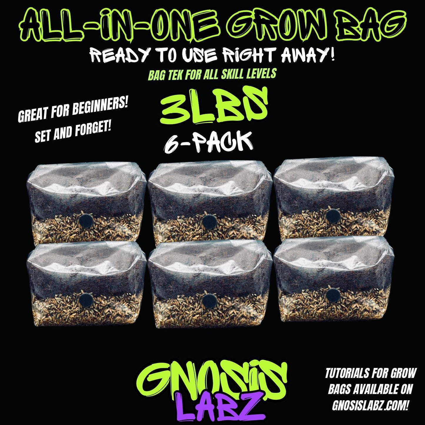 6 Pack of All in One Mushroom Grow Kit Bags (3lbs) with Injection Port and Filter Patch! - Gnosis Labz Gnosis Labz Rye Berries