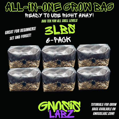6 Pack of All in One Mushroom Grow Kit Bags (3lbs) with Injection Port and Filter Patch! - Gnosis Labz Gnosis Labz Rye Berries