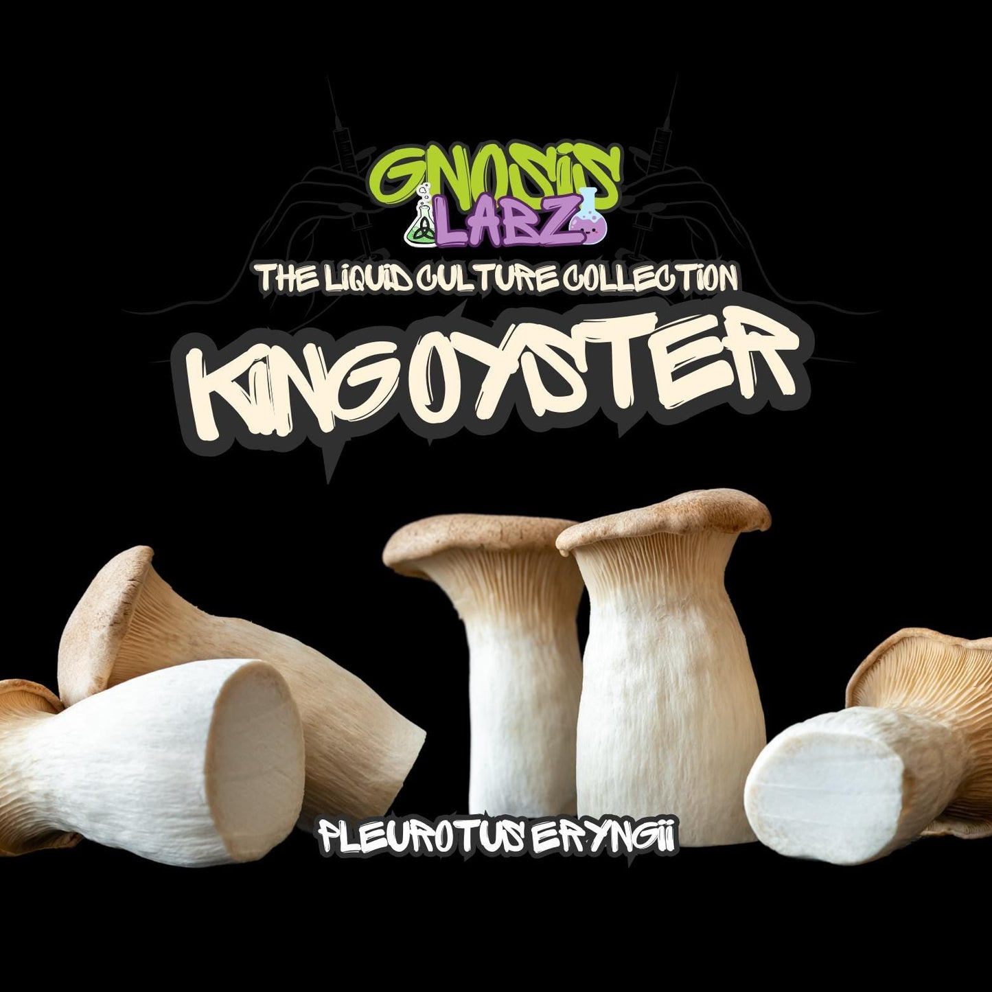 King Oyster (Pleurotus Eryngii ) Liquid Culture Syringe 10ml Includes 18g Sterile Needle! - Gnosis Labz Gnosis Labz