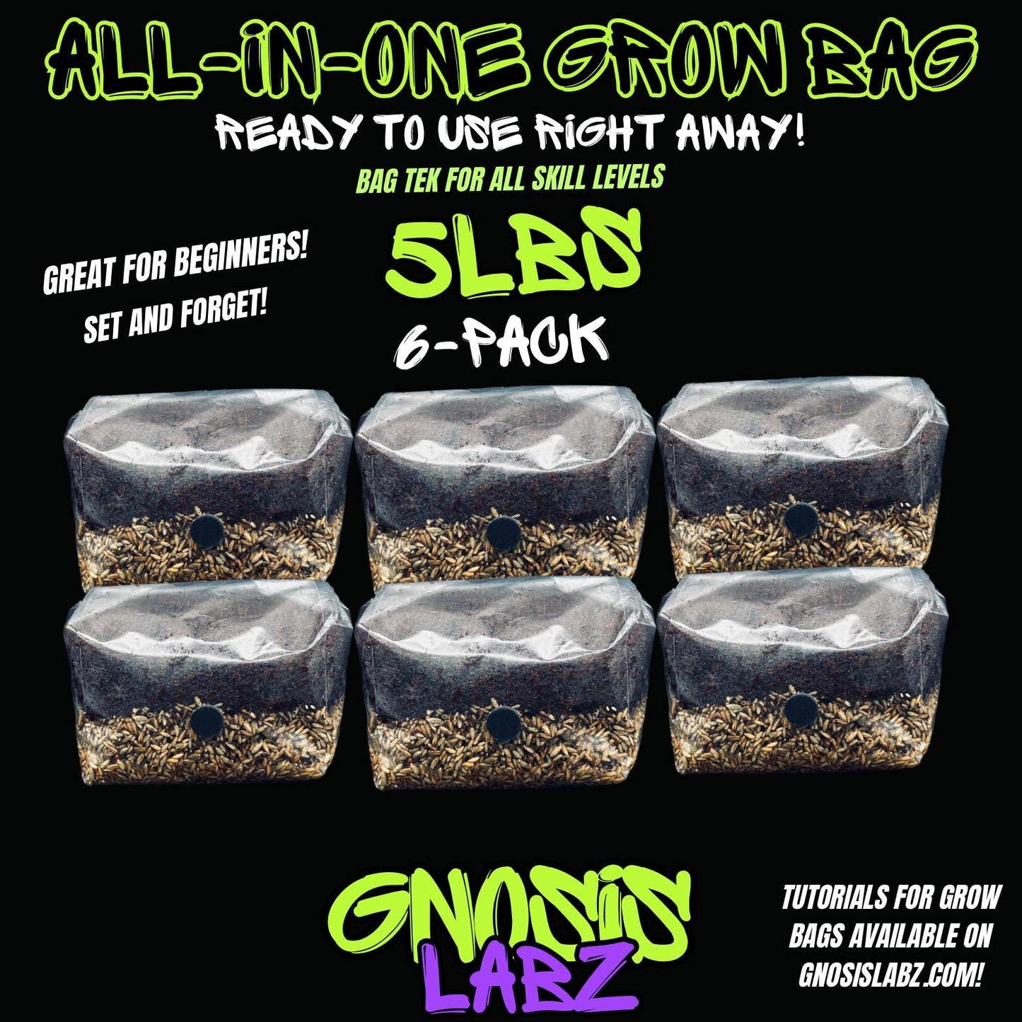6 Pack of 5lbs All in One Mushroom Grow Kit Bags with Injection Port and Filter Patch! Great for Most Cultures! - Gnosis Labz Gnosis Labz Rye Berries
