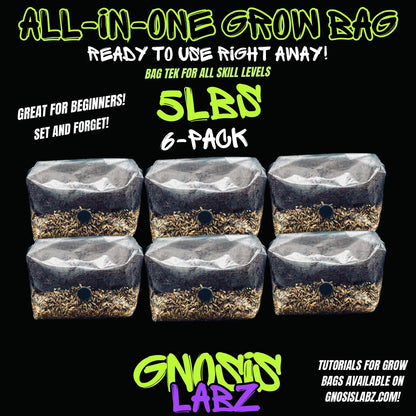 6 Pack of 5lbs All in One Mushroom Grow Kit Bags with Injection Port and Filter Patch! Great for Most Cultures! - Gnosis Labz Gnosis Labz Rye Berries