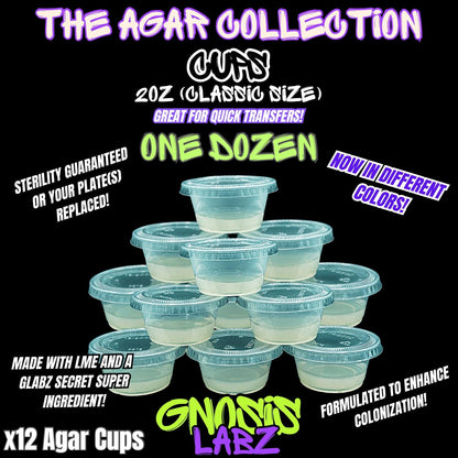 One Dozen 2oz Agar Cups - Sterilized Agar Media - Great for Small Cultures (Bundle Deals Available) - Gnosis Labz Gnosis Labz Green