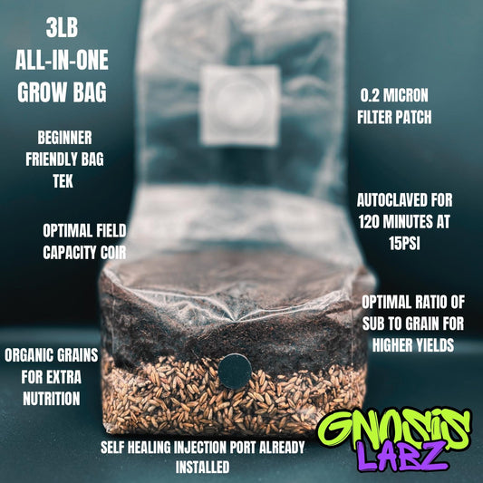 Single 3 lb All-in-One Mushroom Grow Bag | Injection Port + Filter Patch - Gnosis Labz